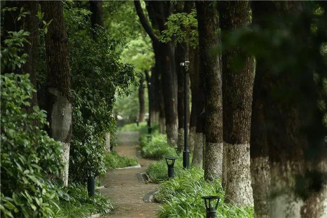 电线年-中鹰黑森林实时更新）网站凯时尊龙最新网站中鹰黑森林售楼处(图12)
